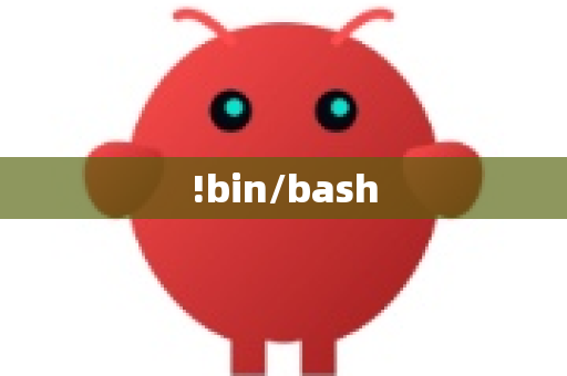 !bin/bash