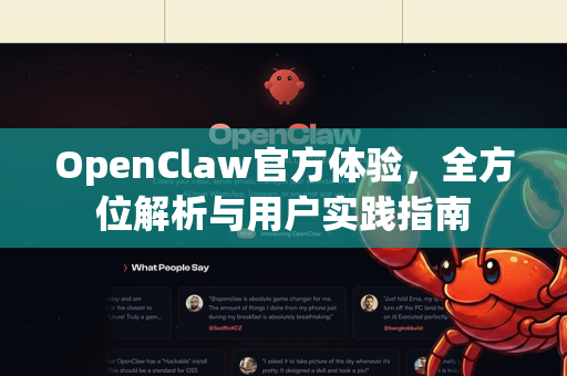 OpenClaw官方体验，全方位解析与用户实践指南
