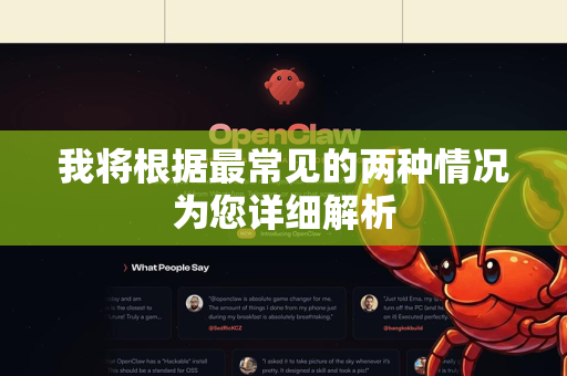 我将根据最常见的两种情况为您详细解析