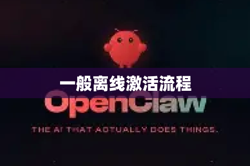 一般离线激活流程