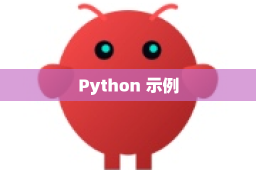 Python 示例