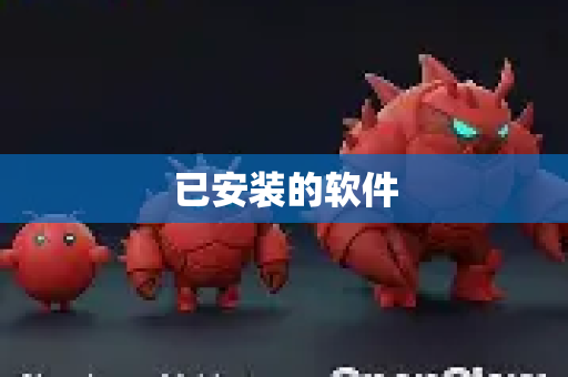 已安装的软件
