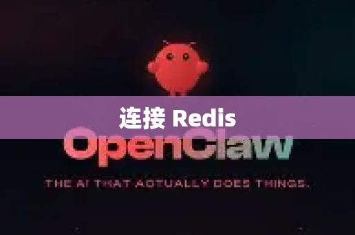 连接 Redis