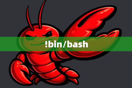 !bin/bash