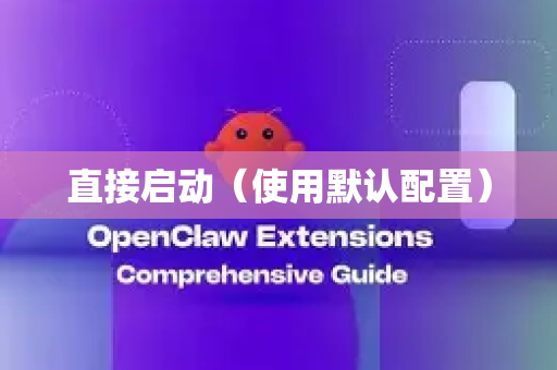 直接启动（使用默认配置）