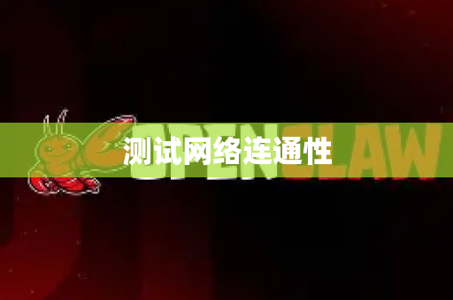 测试网络连通性