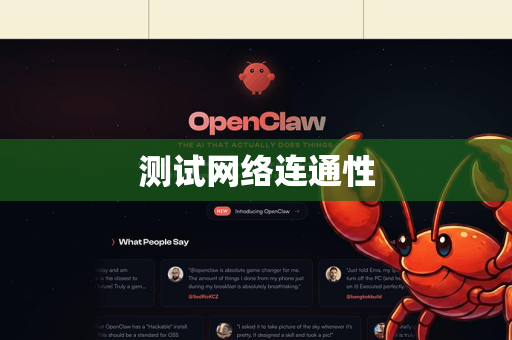 测试网络连通性