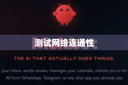 测试网络连通性